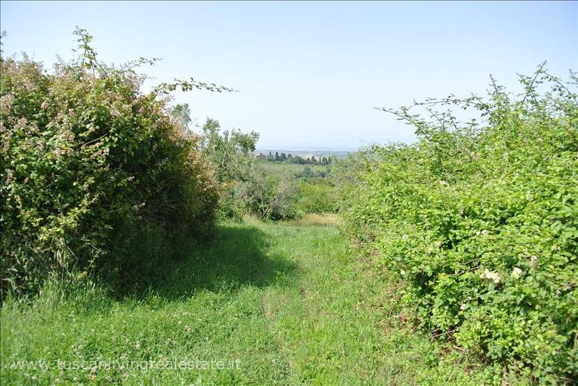 Casale in Sp19, Sarteano — foto 5 di 5