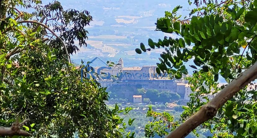 Rustico in Strada del Porcino, Castiglione in Teverina — foto 4 di 5