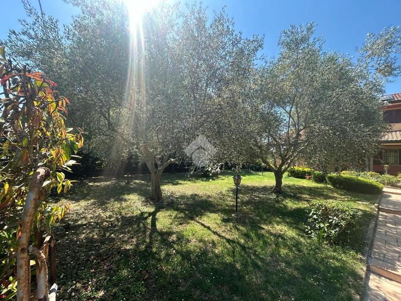 Villa in Via Mar Jonio 21, Bellaria-Igea Marina — foto 2 di 5