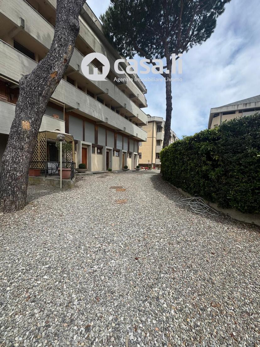 Mansarda, Rosignano Marittimo — foto 3 di 5