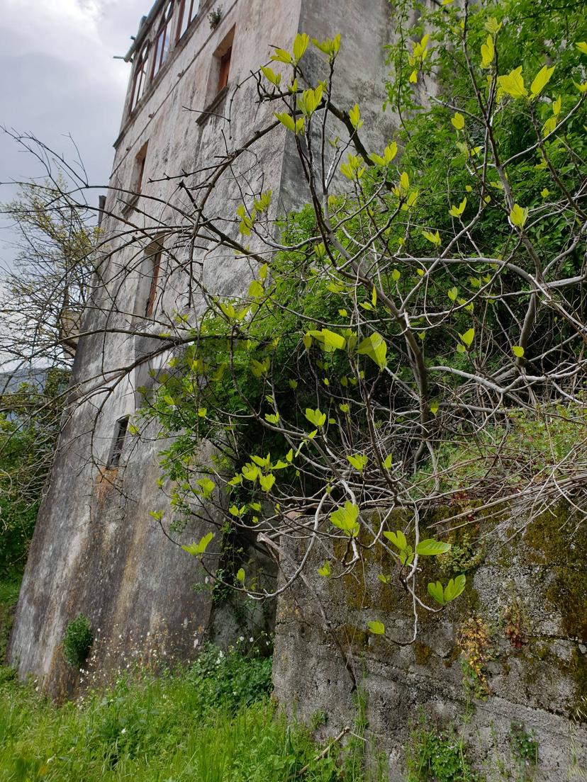 Casa indipendente, Rivello — foto 4 di 5