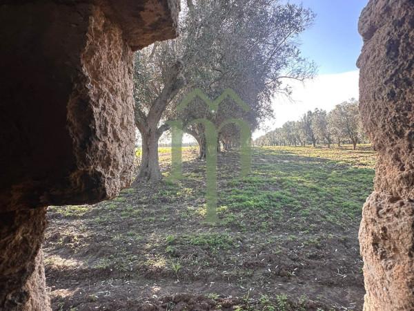 Casale in Strada Comunale 3, Brindisi — foto 5 di 5
