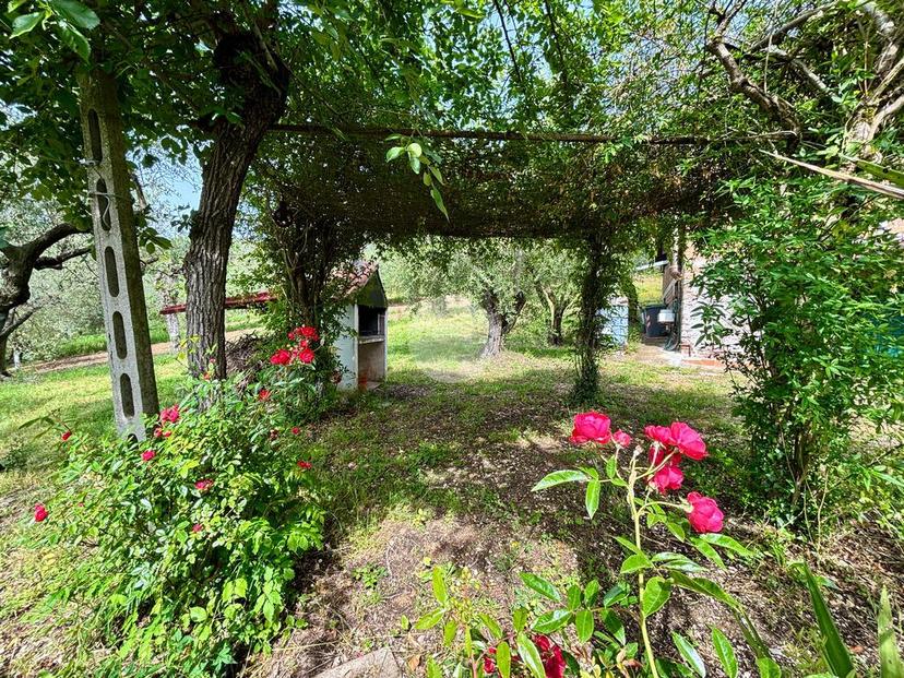 Casa indipendente in Strada S. Pietro 114, Otricoli — foto 5 di 5