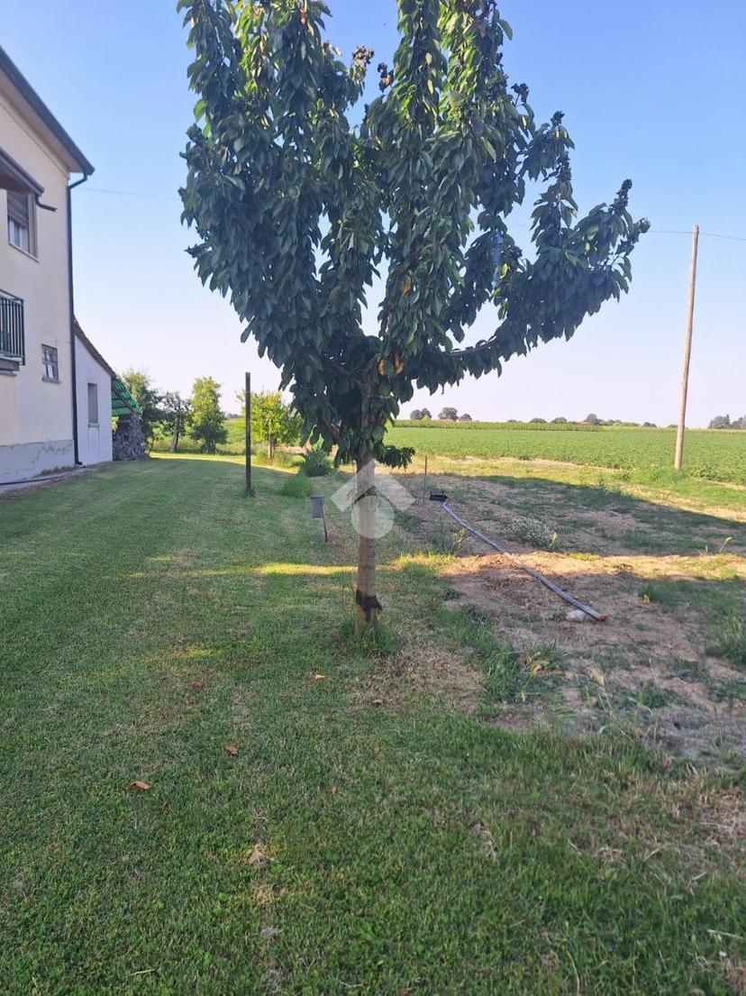 Casa indipendente in Via del Prato 6, Bagnacavallo — foto 2 di 5