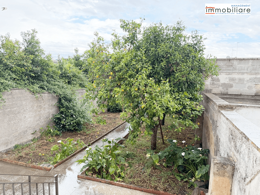 Casa indipendente in Via Martiri della Resistenza 43, Martano — foto 3 di 5