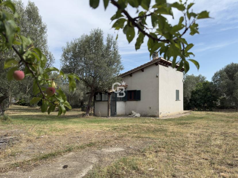 Casa indipendente in Località Pian di San Martino Snc, Vetralla — foto 3 di 5