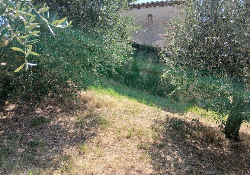 Rustico in Vocabolo Merolfo, Montecastrilli — foto 4 di 5