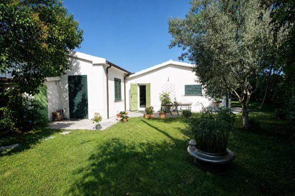 Villa bifamiliare in Località Centro H, Capalbio — foto 5 di 5