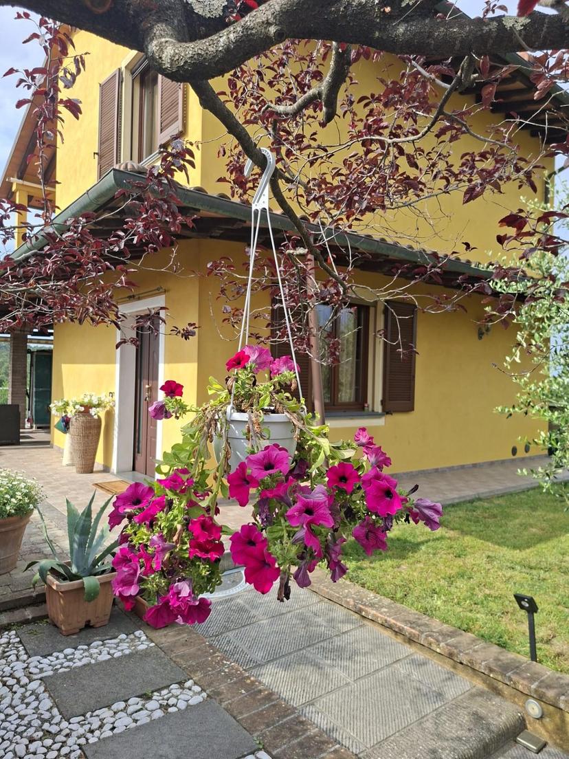 Villa, Santa Maria a Monte — foto 2 di 5