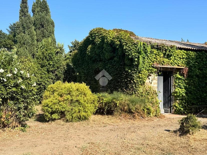 Rustico in Strada Tarquiniese, Tuscania — foto 4 di 5
