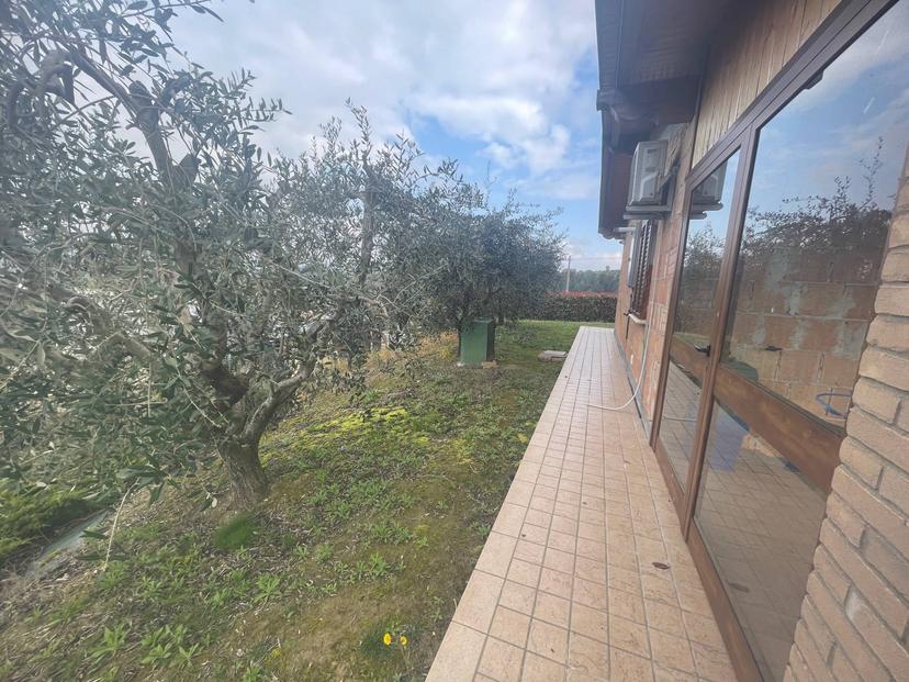 Casa indipendente in Contrada Collelungo, Monsampolo del Tronto — foto 3 di 5