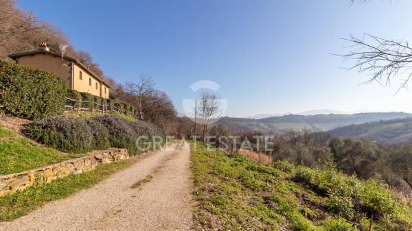 Casale in Strada Sermugnano, Castiglione in Teverina — foto 4 di 5