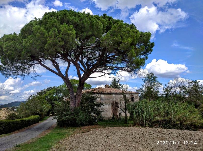 Rustico, Pomarance — foto 3 di 5