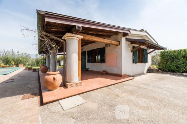 Villa in Via Colle del Pero, Zagarolo — foto 3 di 5