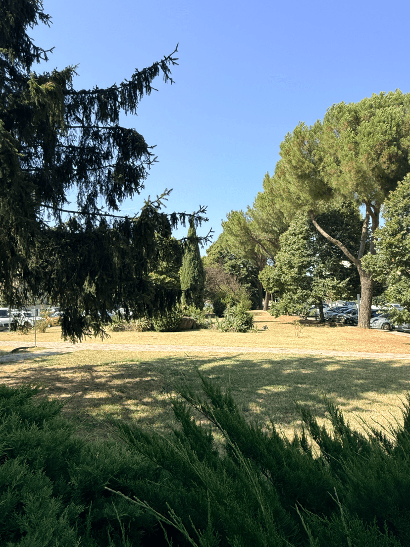 Monolocale in Piazza della Costituzione 6, Calenzano