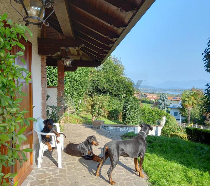 Villa, Dormelletto