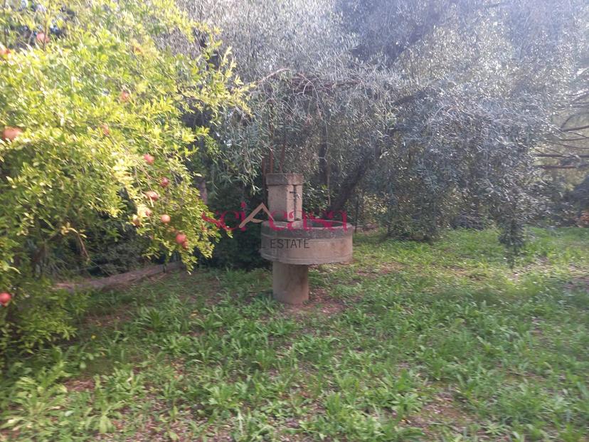 Villa in Cupi, Magliano in Toscana — foto 2 di 5