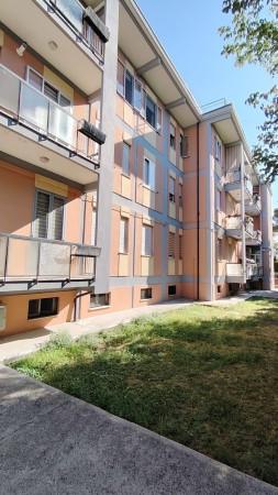Appartamento in Via F. F. Falco, Penne — foto 5 di 5