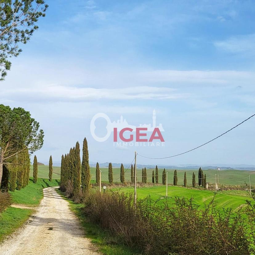 Terratetto, Monteroni d'Arbia — foto 3 di 5