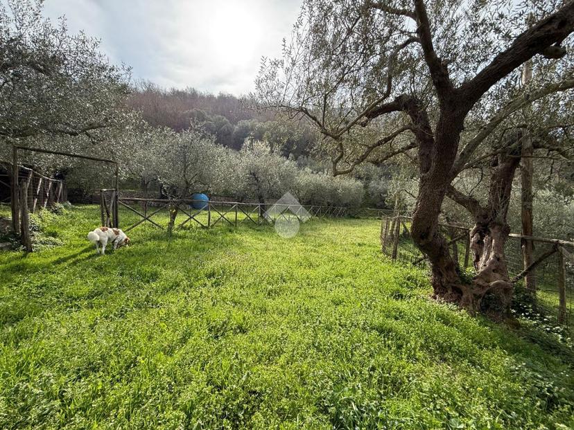 Casa indipendente in Contrada Traugnao 29, Sant'Agata de' Goti — foto 2 di 5