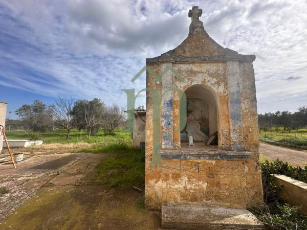 Villa, San Vito dei Normanni — foto 4 di 5
