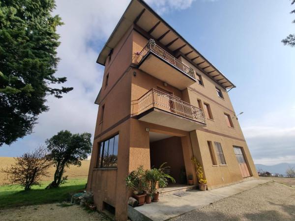 Appartamento, Loro Piceno — foto 5 di 5