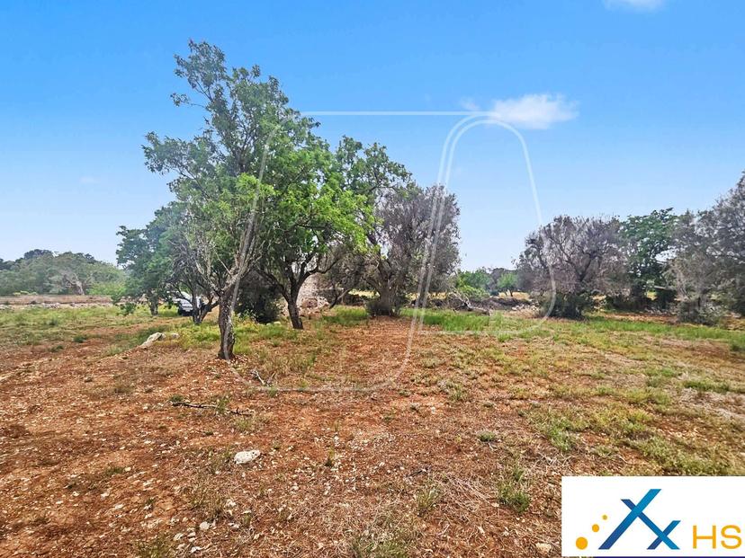 Trullo, Carovigno — foto 3 di 5