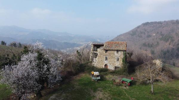 Casale in Via Valle, Sant'Agata Feltria — foto 4 di 5