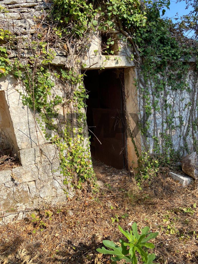 Abitazione tipica in Contrada Vecchia Snc, Noci — foto 3 di 5