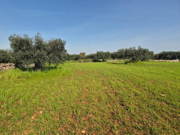Trullo in Contrada Sisto, Cisternino — foto 3 di 5
