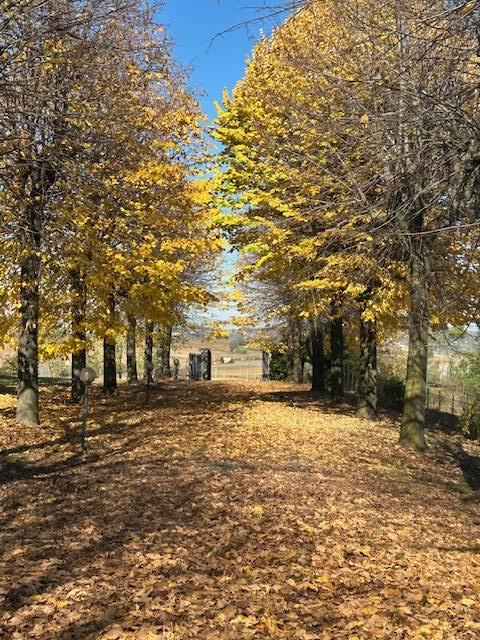 Villa in Strada San Bernardino 5/a, Altavilla Monferrato — foto 2 di 5