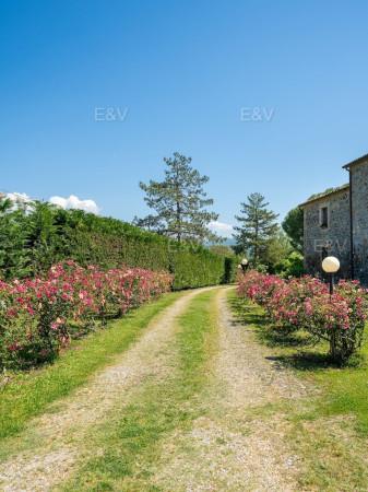 Casale in Via Po, Orvieto — foto 4 di 5