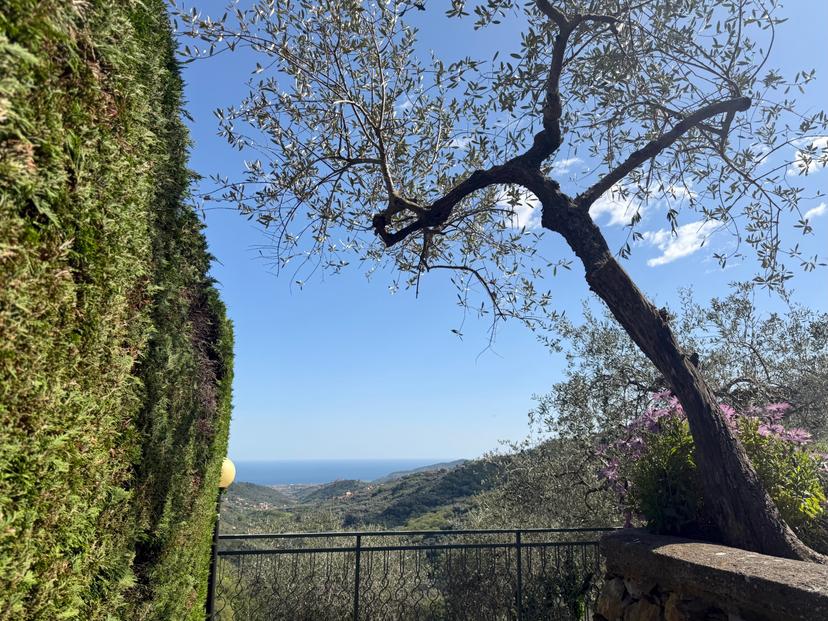 Bilocale in Gli Olivi 4c, Diano Arentino — foto 4 di 5