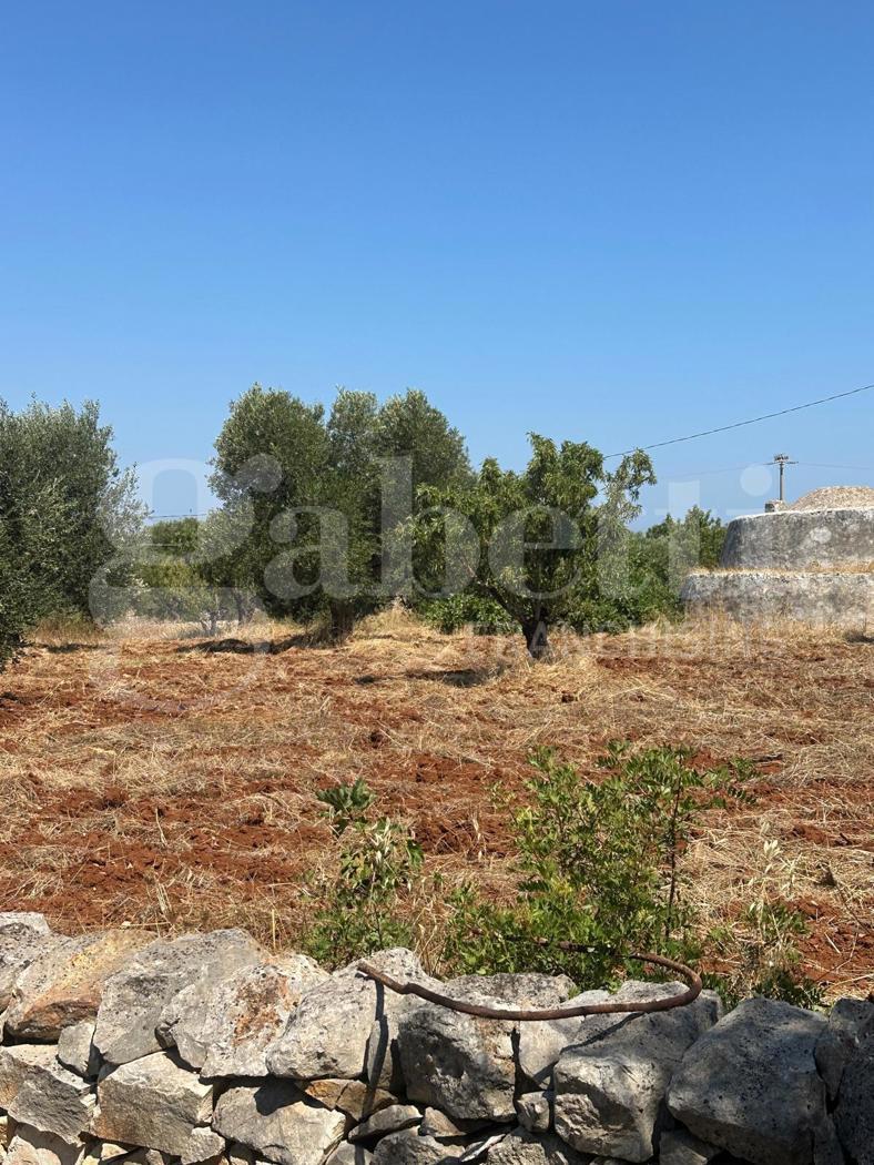 Monolocale in C.da Tamburroni Sn, Ostuni