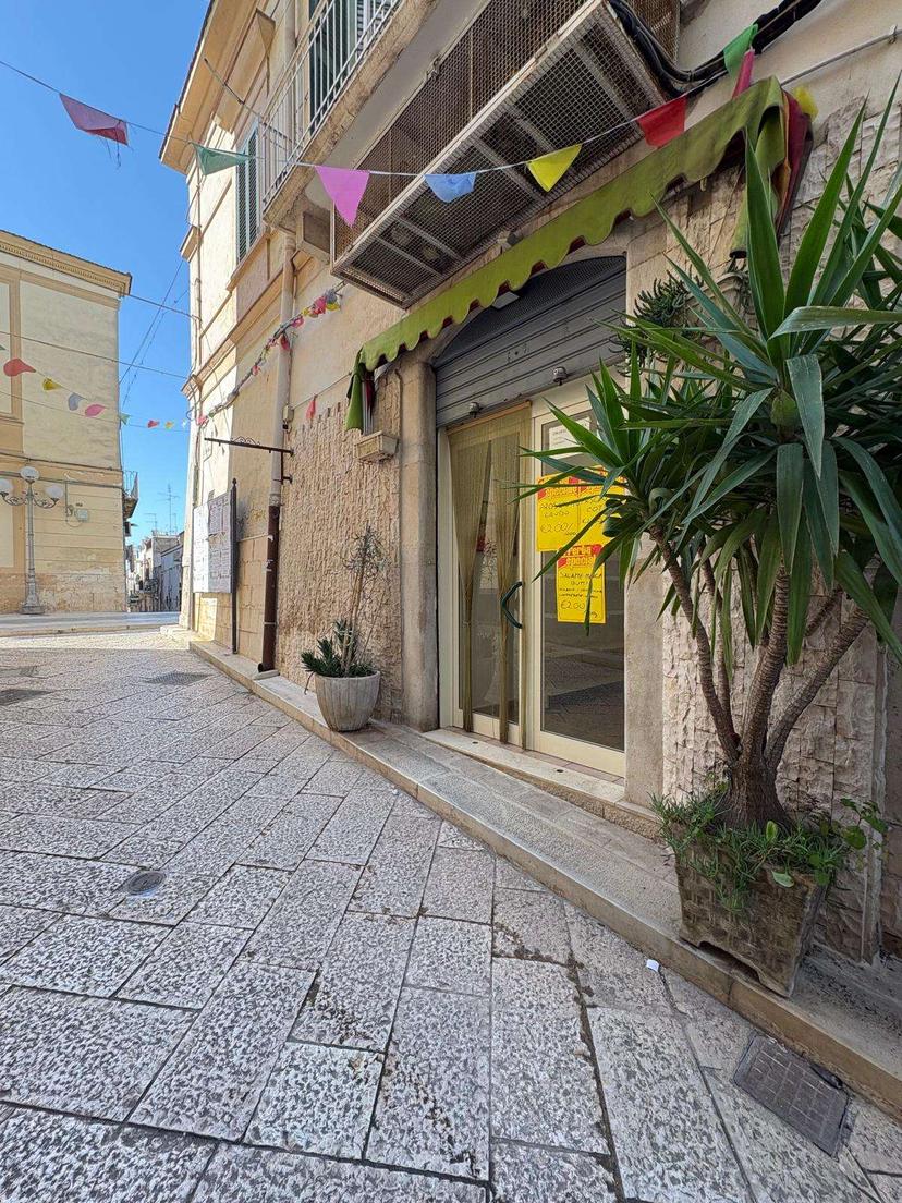 Monolocale, Canosa di Puglia — foto 4 di 5