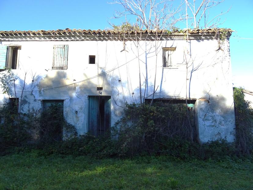 Rustico, Senigallia — foto 2 di 5
