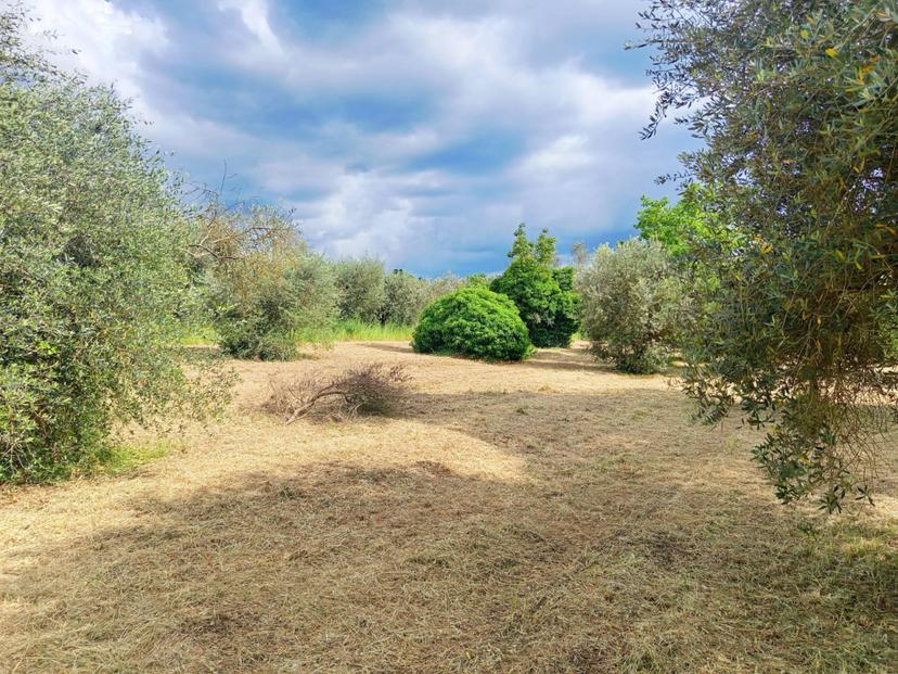 Rustico in Strada di Colle Massimiano, Palombara Sabina — foto 4 di 5