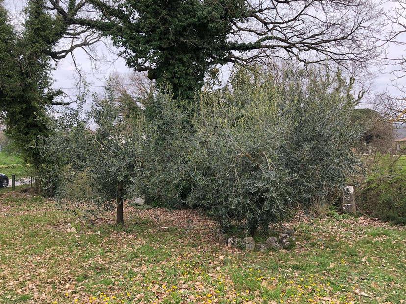 Rustico in Grutti , Gualdo Cattaneo — foto 5 di 5