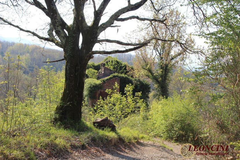 Rustico in Via Irola 22, Villafranca in Lunigiana — foto 5 di 5