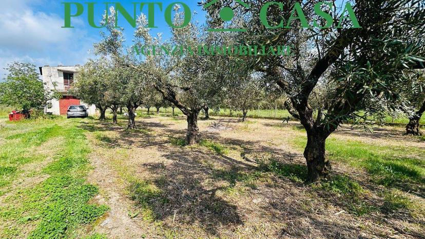 Rustico in Via delle Palme, Gizzeria — foto 3 di 5