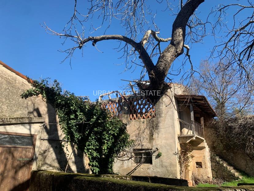 Rustico in Sales, Sgonico — foto 2 di 5