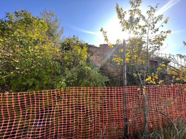 Rustico, Assisi — foto 3 di 5
