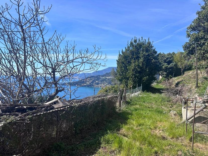 Casa indipendente in Località Peidaigo, 15, Ventimiglia — foto 2 di 5