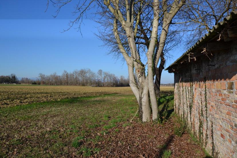 Rustico in a Forlani 22, Casale sul Sile — foto 4 di 5