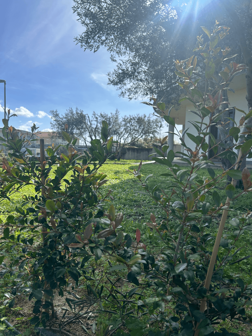 Villa in Via Domenico Folino, Soverato — foto 4 di 5