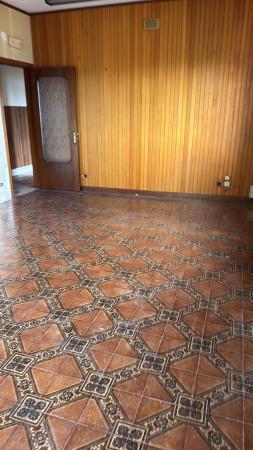 Appartamento in Via 25 Aprile, Lauria — foto 3 di 5