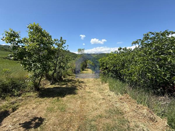 Rustico in Contrada Bufalara, Torricella Peligna — foto 3 di 5