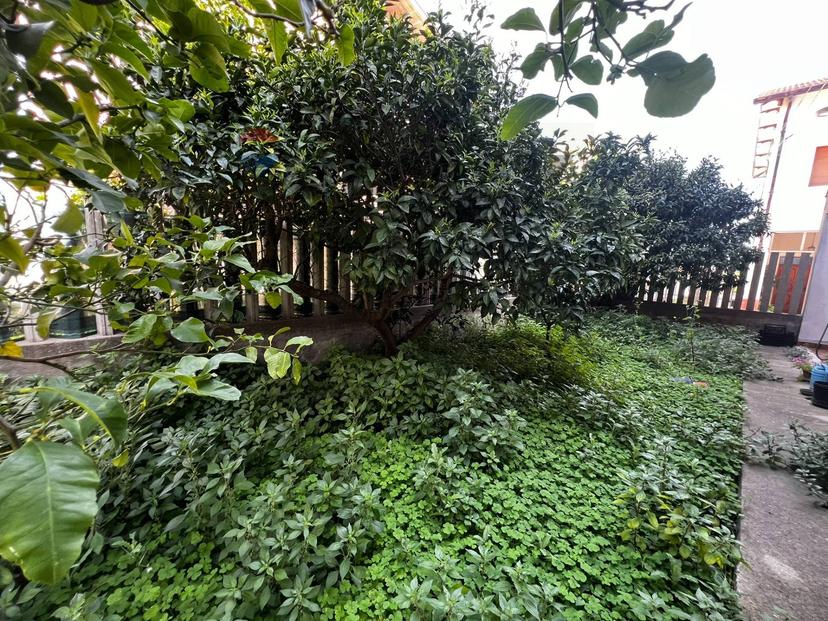 Casa indipendente in Via Leonardo da Vinci 16, Casalbordino — foto 4 di 5