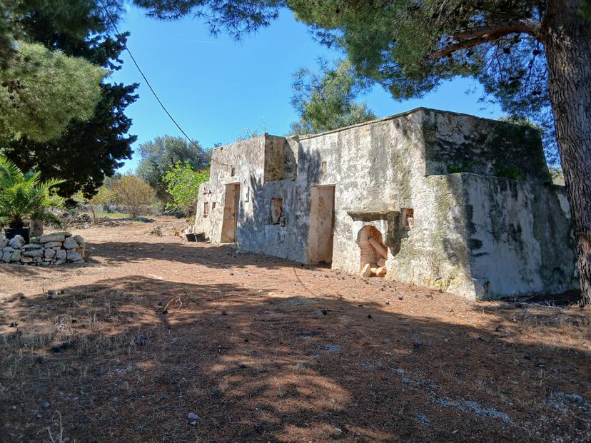 Trullo in C.da Sierri, Carovigno — foto 3 di 5