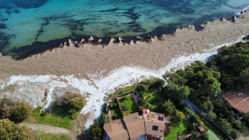 Villa a schiera in Via dei Ciclamini, Siniscola — foto 4 di 5